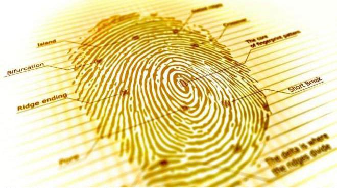 人工智能指紋感應模塊