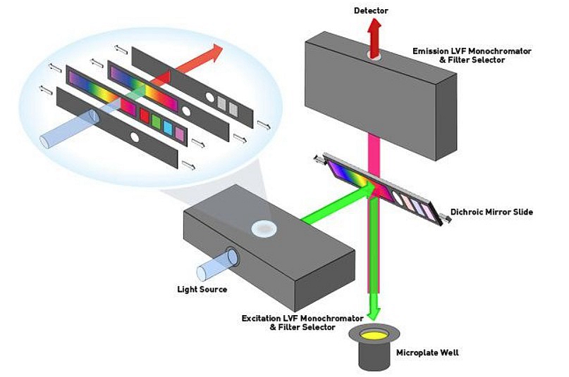 酶標儀使用光柵和濾光片的區別