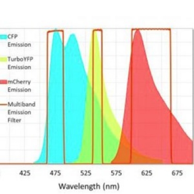 Alexa Fluor系列熒光染料濾光片產品特點